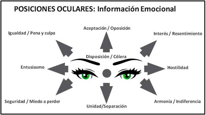 equilibracion ocular con kinesiologia