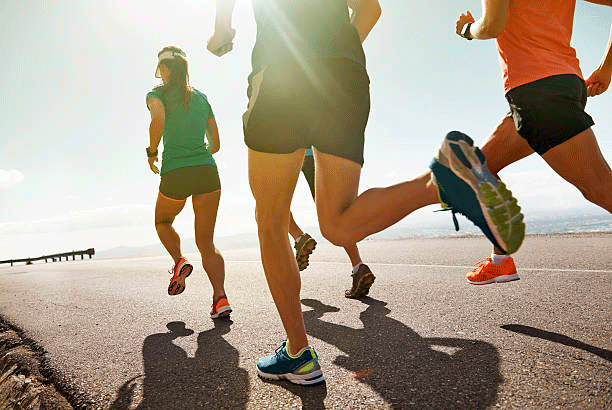 kinesiologia y deporte